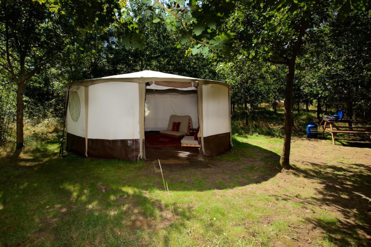 Dgg Woodland Escape Hotel South Barrow Bagian luar foto