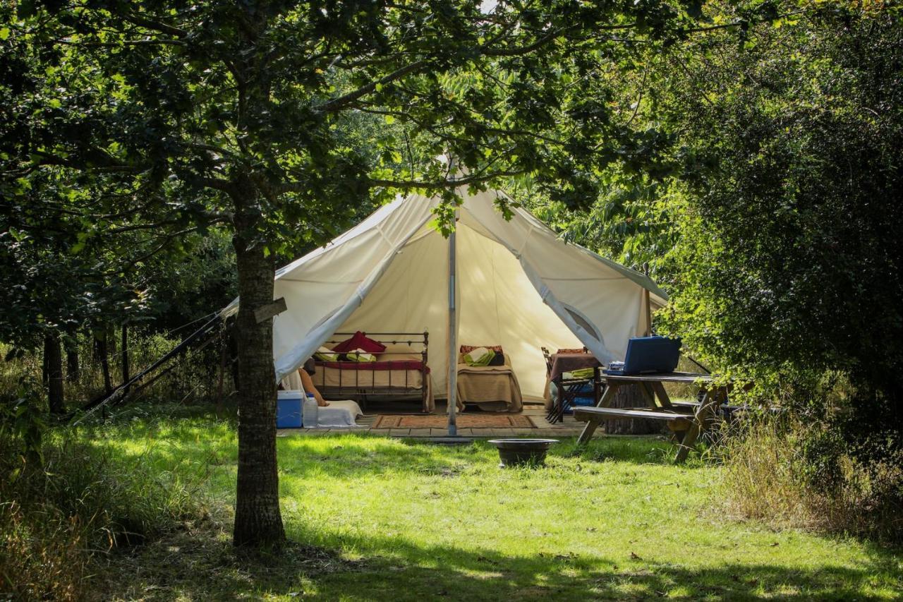 Dgg Woodland Escape Hotel South Barrow Bagian luar foto