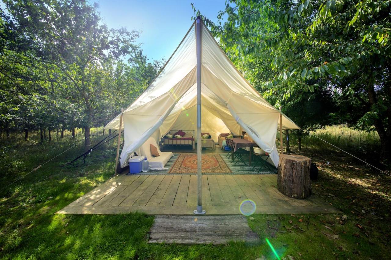 Dgg Woodland Escape Hotel South Barrow Bagian luar foto