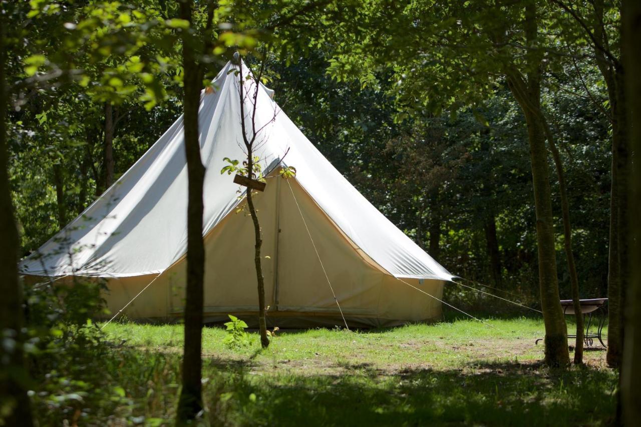 Dgg Woodland Escape Hotel South Barrow Bagian luar foto