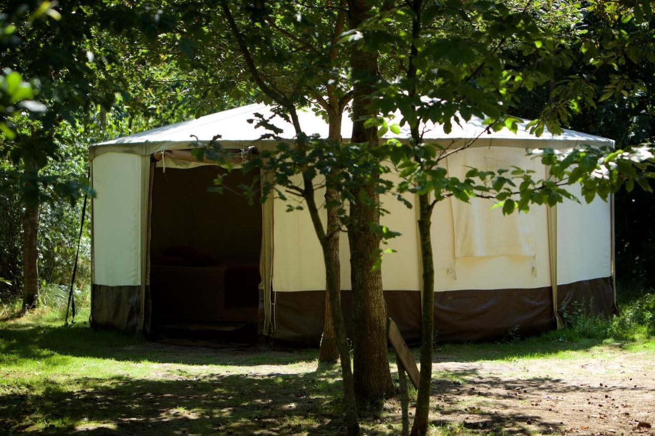 Dgg Woodland Escape Hotel South Barrow Bagian luar foto