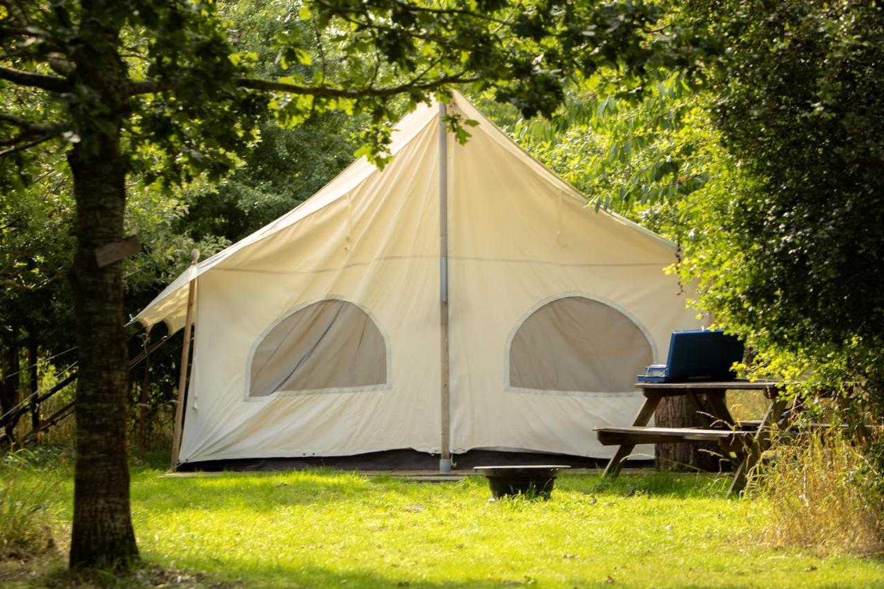 Dgg Woodland Escape Hotel South Barrow Bagian luar foto