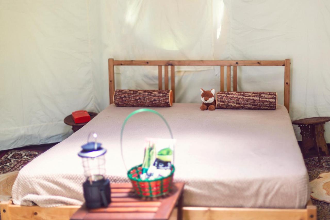 Dgg Woodland Escape Hotel South Barrow Bagian luar foto