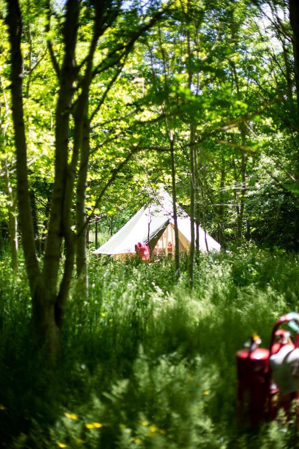 Dgg Woodland Escape Hotel South Barrow Bagian luar foto