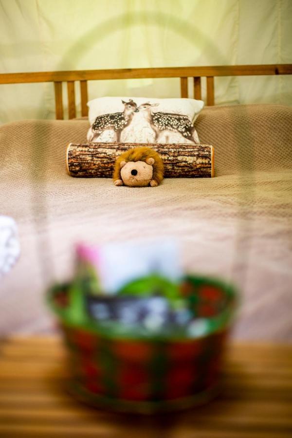 Dgg Woodland Escape Hotel South Barrow Bagian luar foto