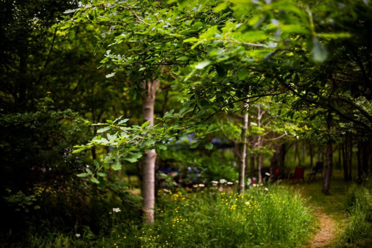 Dgg Woodland Escape Hotel South Barrow Bagian luar foto