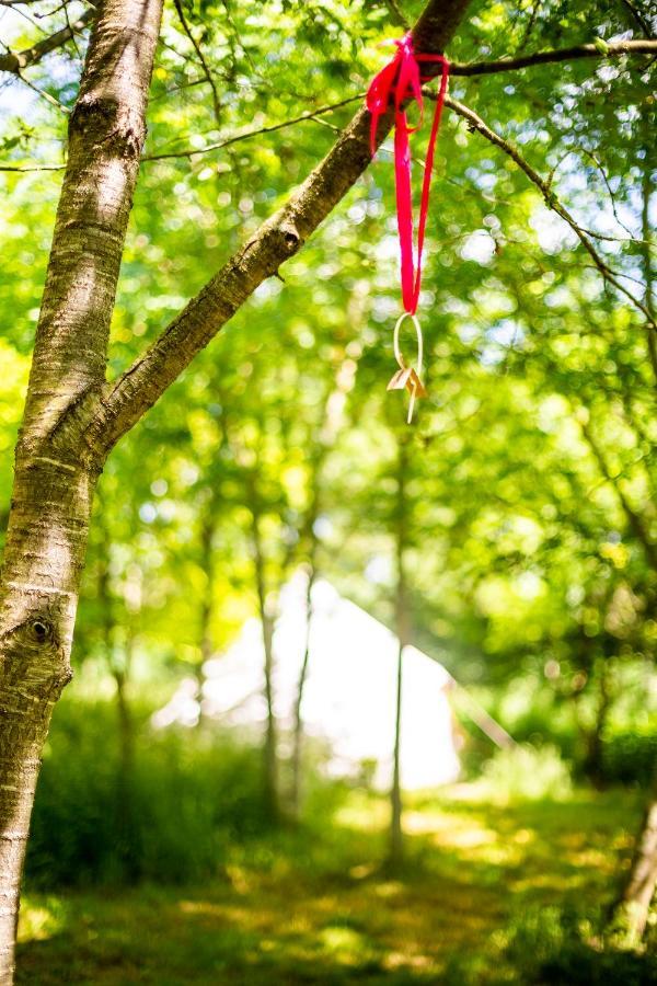 Dgg Woodland Escape Hotel South Barrow Bagian luar foto