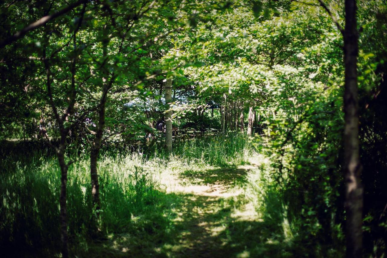 Dgg Woodland Escape Hotel South Barrow Bagian luar foto
