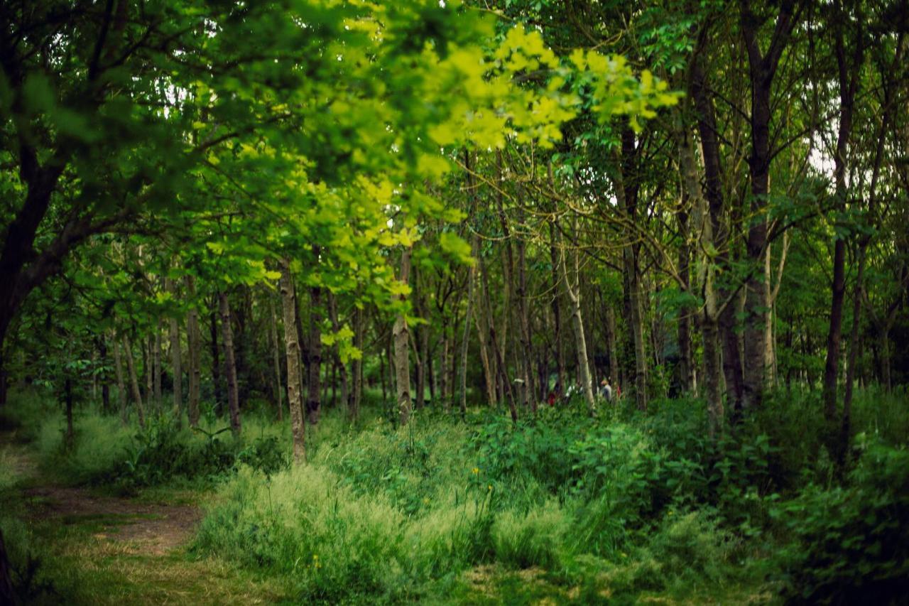Dgg Woodland Escape Hotel South Barrow Bagian luar foto
