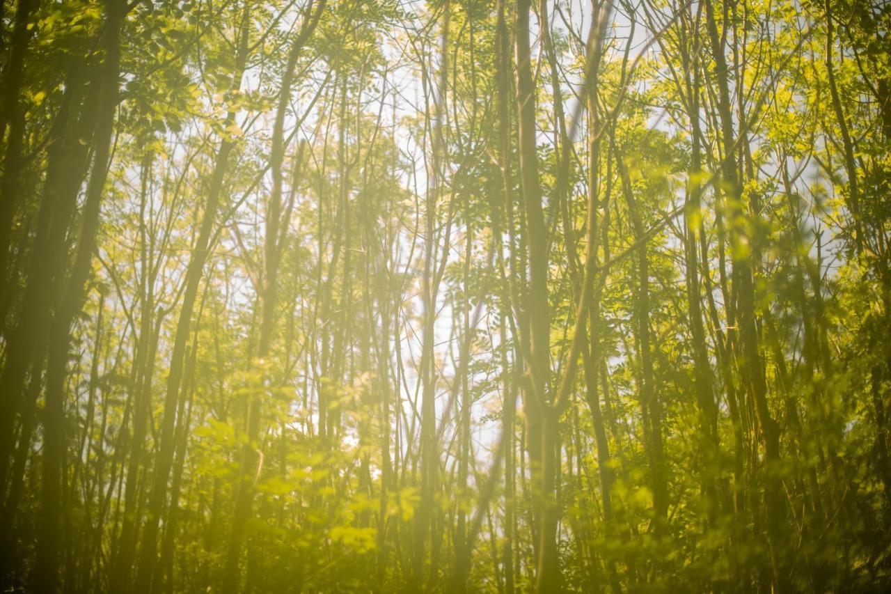 Dgg Woodland Escape Hotel South Barrow Bagian luar foto
