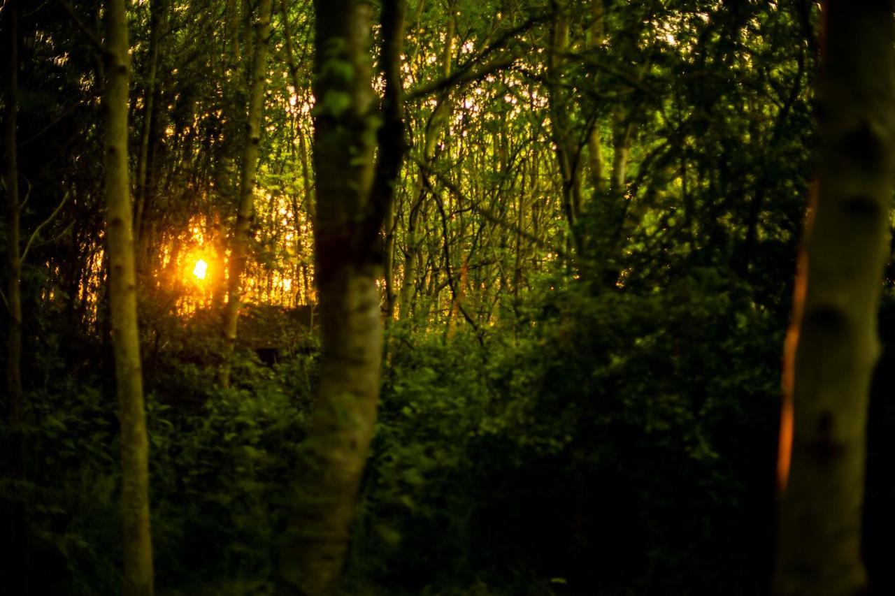 Dgg Woodland Escape Hotel South Barrow Bagian luar foto