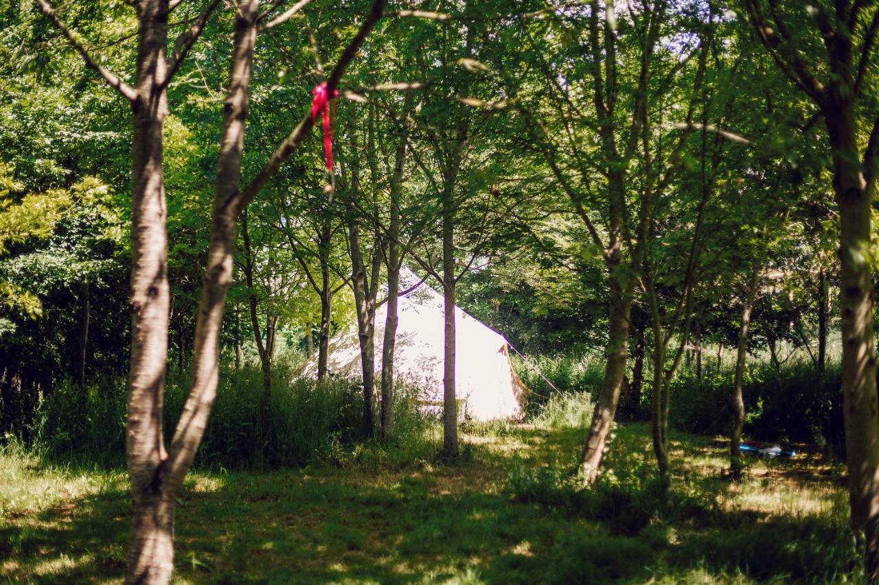 Dgg Woodland Escape Hotel South Barrow Bagian luar foto