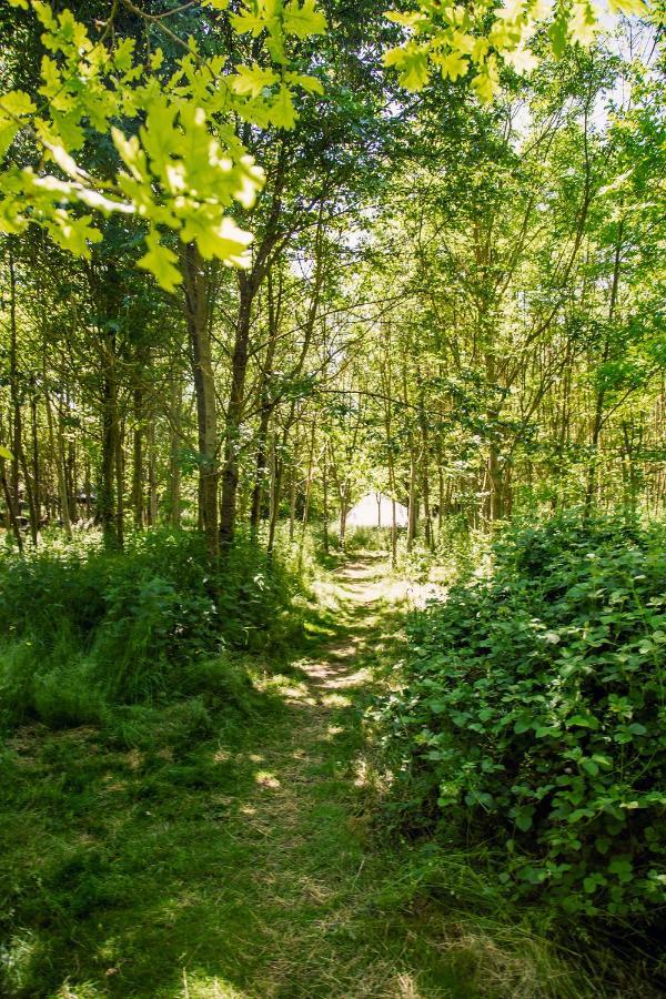 Dgg Woodland Escape Hotel South Barrow Bagian luar foto