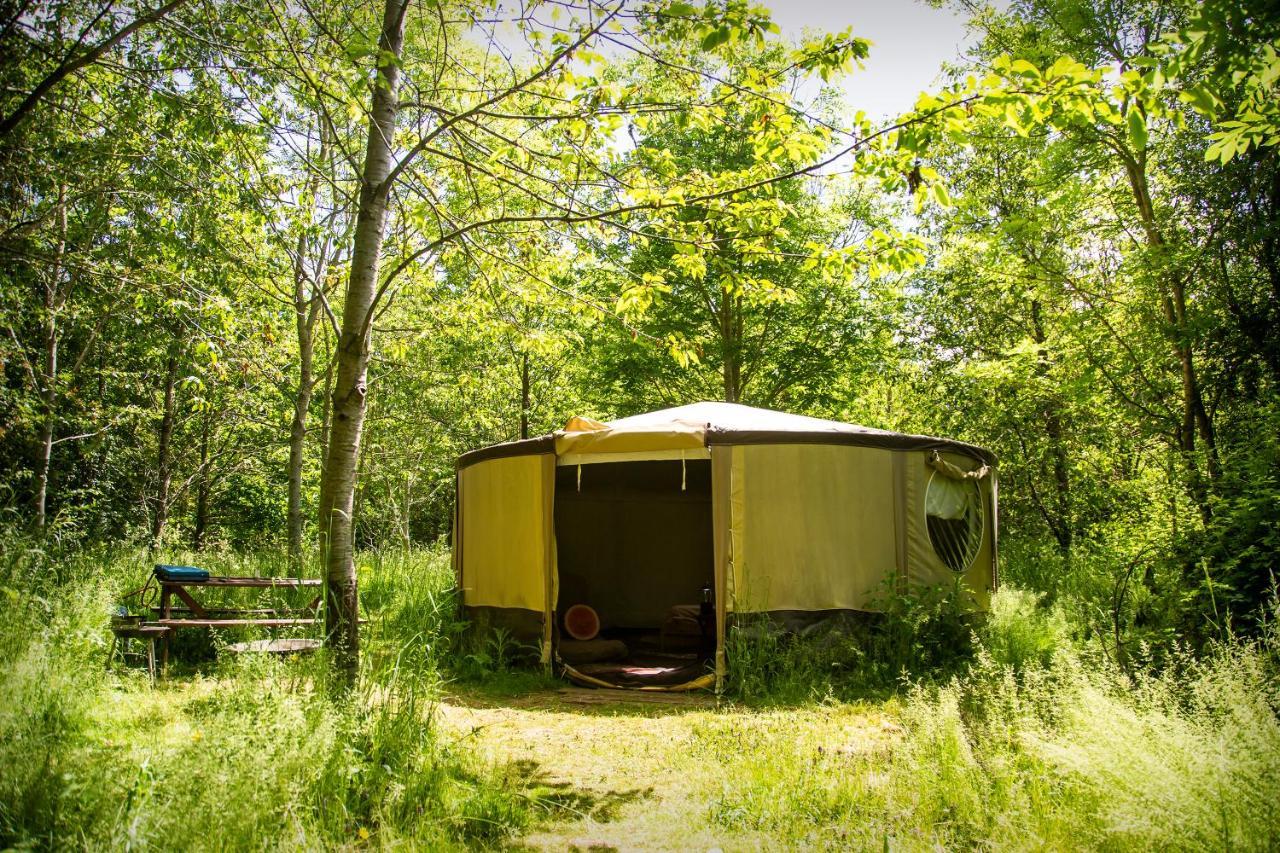 Dgg Woodland Escape Hotel South Barrow Bagian luar foto