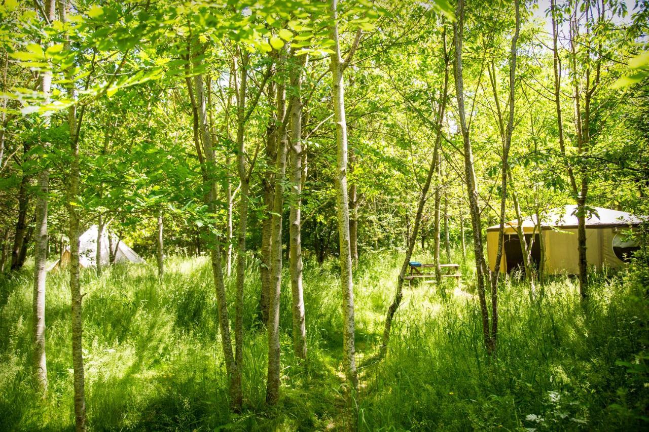 Dgg Woodland Escape Hotel South Barrow Bagian luar foto