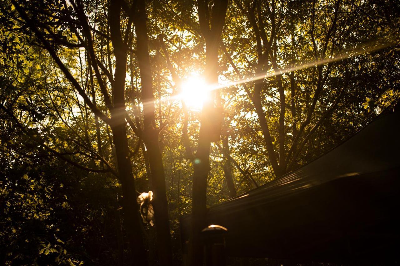 Dgg Woodland Escape Hotel South Barrow Bagian luar foto