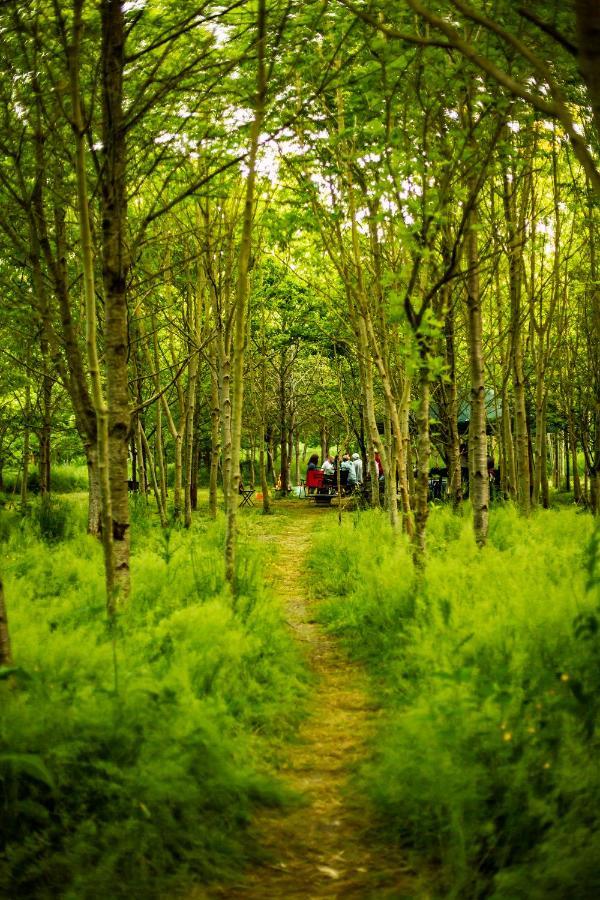 Dgg Woodland Escape Hotel South Barrow Bagian luar foto