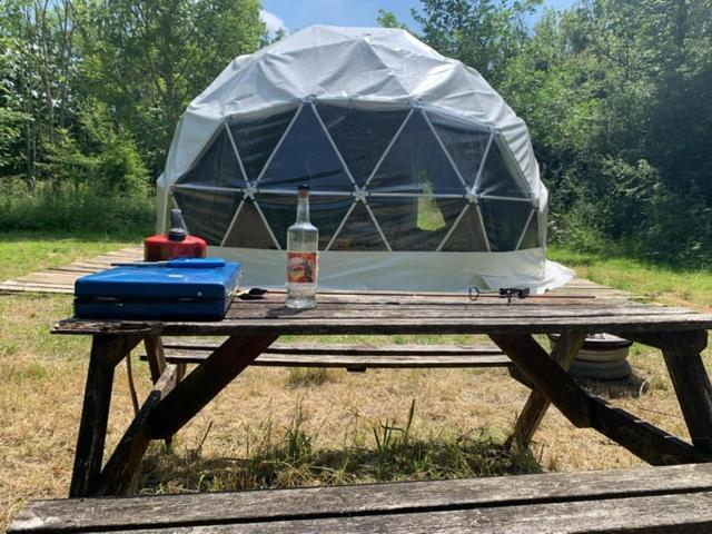 Dgg Woodland Escape Hotel South Barrow Bagian luar foto
