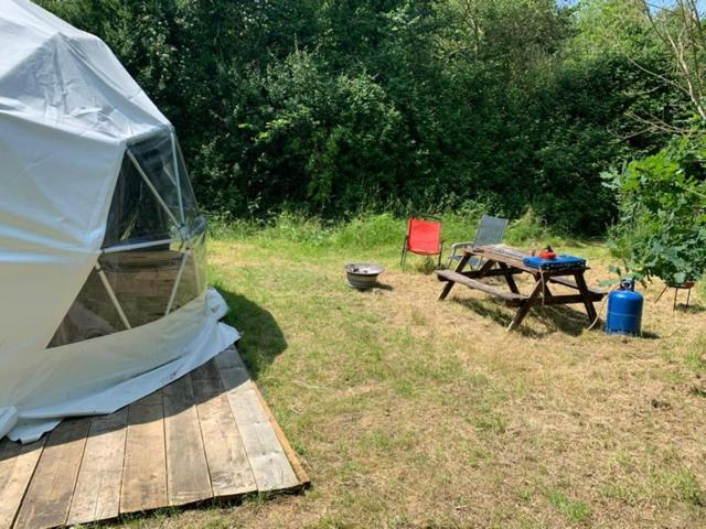 Dgg Woodland Escape Hotel South Barrow Bagian luar foto