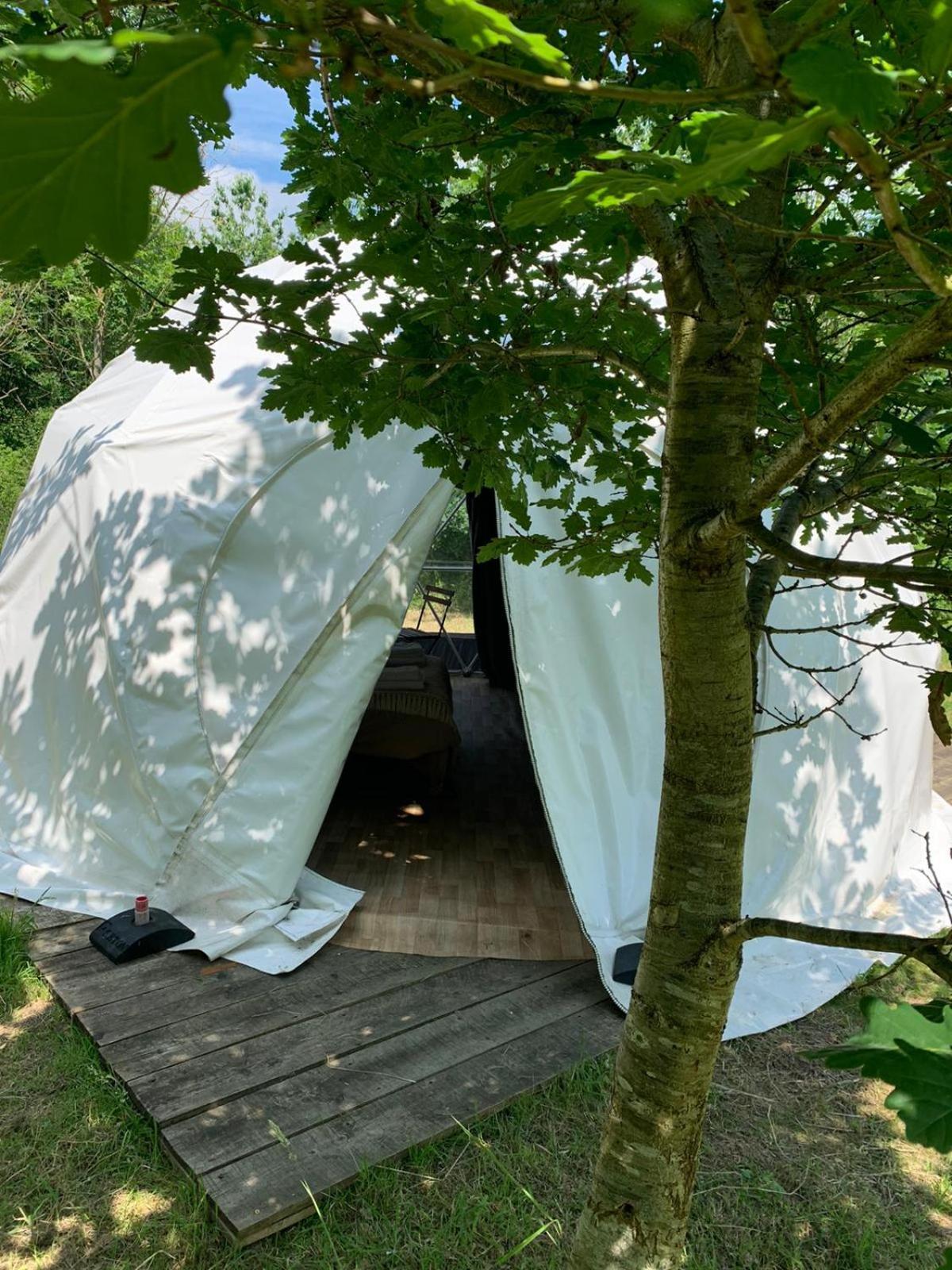 Dgg Woodland Escape Hotel South Barrow Bagian luar foto